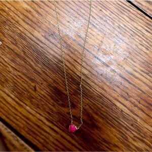Kendra scott necklace